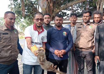 মহিপুরে শিকলে বাঁধা বিপন্ন ভোদর উদ্ধার