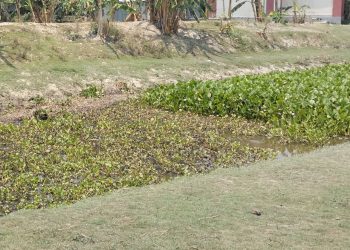দশমিনায় অর্ধশতাধিক খালে পানি প্রবাহ ক্ষীন, নাব্যতা ফেরাতে প্রয়োজন খনন