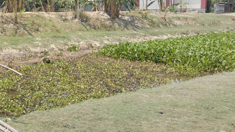 দশমিনায় অর্ধশতাধিক খালে পানি প্রবাহ ক্ষীন, নাব্যতা ফেরাতে প্রয়োজন খনন