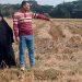 কলাপাড়ায় বিধবা নারীর ১৮ শতক জমির ধান কেটে নেওয়ার অভিযোগ
