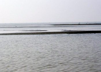 বঙ্গোপসাগরে জেগে উঠেছে অসংখ্য চর, মাছ ধরার ট্রলারসহ নৌযান চলাচলে চরম ঝুঁকি