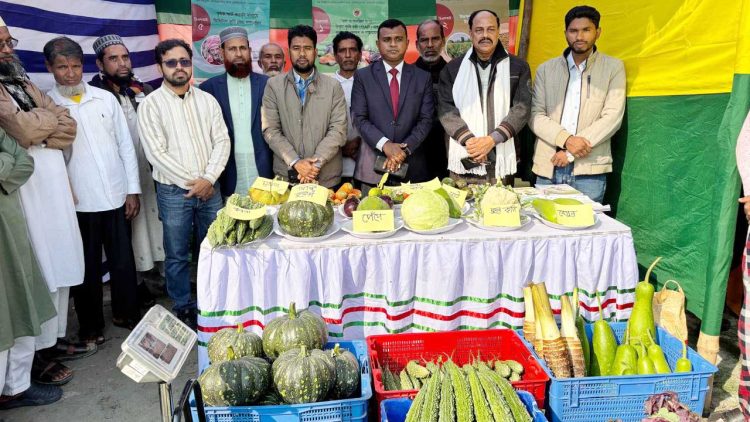 মির্জাগঞ্জে বিজয় দিবসের মেলায় কৃষকদের উৎপাদিত বিষমুক্ত ‘সবজির হাট’