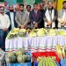 মির্জাগঞ্জে বিজয় দিবসের মেলায় কৃষকদের উৎপাদিত বিষমুক্ত ‘সবজির হাট’