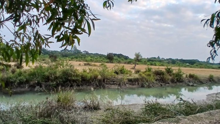 কুয়াকাটায় জমি ও মাছের ঘের দখলের চেষ্টায় হামলা, চাঁদাবাজির অভিযোগ