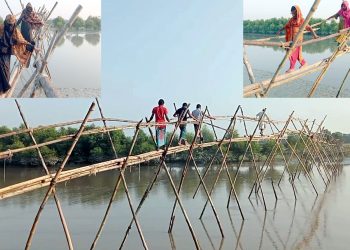 কলাপাড়ায় দেড়হাজার পরিবারের যোগাযোগ ভরসা ঝুঁকিপূর্ণ বাঁশের সাঁকো