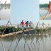 কলাপাড়ায় দেড়হাজার পরিবারের যোগাযোগ ভরসা ঝুঁকিপূর্ণ বাঁশের সাঁকো