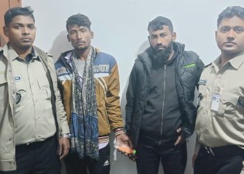 মহিপুরে ৩৮৫ পিস ইয়াবাসহ দুই মাদক কারবারি আটক