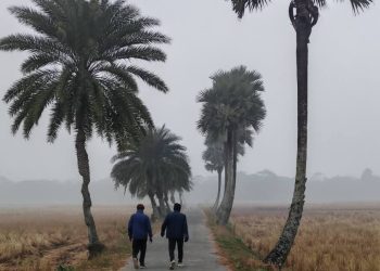 দশমিনায় ঘন কুয়াশা ও শীতল বাতাসে বিপর্যস্ত গ্রামীন জনপদ