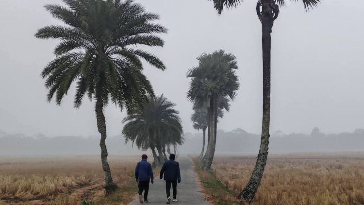 দশমিনায় ঘন কুয়াশা ও শীতল বাতাসে বিপর্যস্ত গ্রামীন জনপদ