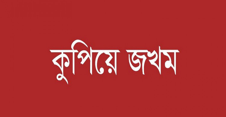 কলাপাড়ায় স্বেচ্ছাসেবক দল নেতাকে কুপিয়ে জখম