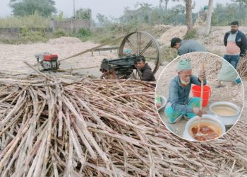 হারিয়ে যাওয়া আড়াইহাজারের আখের গুড়ের সোনালি ঐতিহ্য ফিরে এসেছে