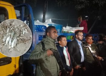 গলাচিপায় ৩০ ড্রাম জাটকা ইলিশ জব্দ, আড়তদারকে অর্থদণ্ড