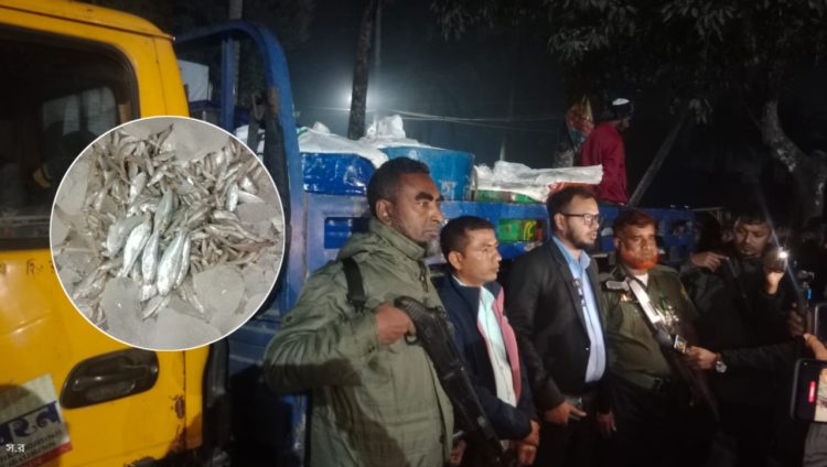 গলাচিপায় ৩০ ড্রাম জাটকা ইলিশ জব্দ, আড়তদারকে অর্থদণ্ড