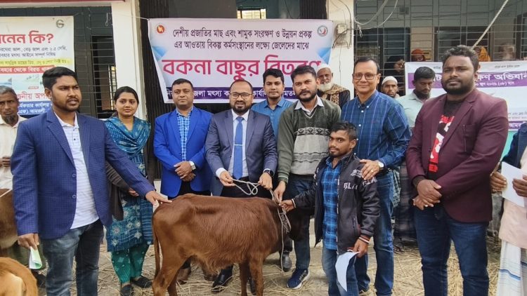 আমতলীতে ৬০ জন জেলে পেলেন বকনা বাছুর