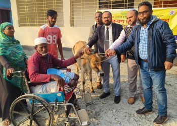 গরু পেয়ে কাঁদলেন দুই পা হারানো সিরাজ ‘মুই এহন এট্টু বাঁচতে পারমু’