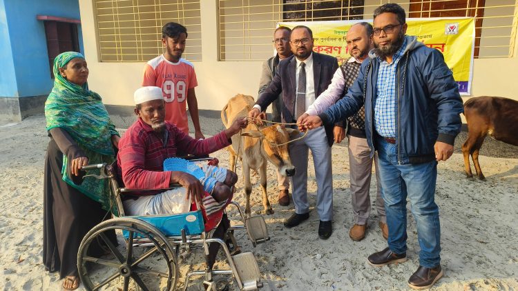 গরু পেয়ে কাঁদলেন দুই পা হারানো সিরাজ ‘মুই এহন এট্টু বাঁচতে পারমু’