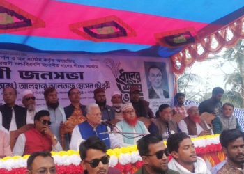 মির্জাগঞ্জে আলতাফ হোসেন চৌধুরীর নির্বাচনী জনসভা