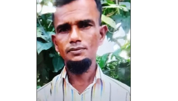 কলাপাড়ায় অটোরিক্সার ধাক্কায় এক শ্রমিকের মৃত্যু