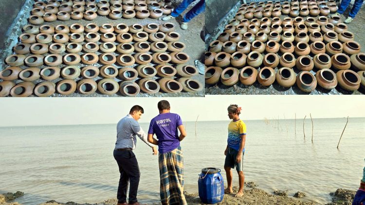কলাপাড়ায় সাড়ে তিন লাখ বাগদা চিংড়ির পোনা জব্দ, রাবনাবাদ চ্যানেলে অবমুক্ত