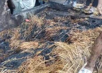 কলাপাড়ায় অটো রাইসমিলের খড়কুটার গুদামে অগ্নিকান্ড