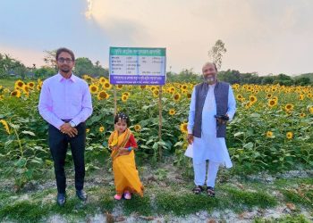 দশমিনায় বিস্তীর্ণ মাঠজুড়ে সূর্যমুখীর হাসির ঝিলিক, কৃষকের বাম্পার ফলনের আশা