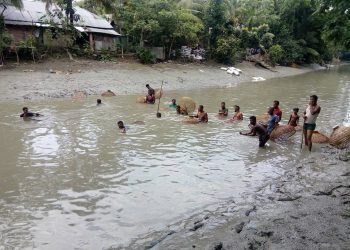 দশমিনায় গ্রামীন ঐতিহ্য পলো উৎসবে মাছ ধরার প্রতিযোগিতা