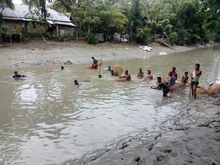দশমিনায় গ্রামীন ঐতিহ্য পলো উৎসবে মাছ ধরার প্রতিযোগিতা