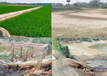 সেচের পানির ভয়াবহ সংকটে কলাপাড়ার হাজারো বোরো চাষী