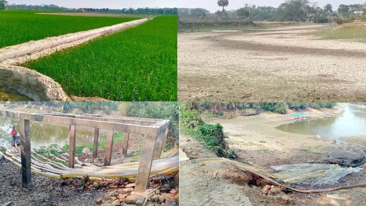 সেচের পানির ভয়াবহ সংকটে কলাপাড়ার হাজারো বোরো চাষী