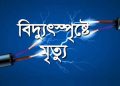 তালতলীতে বিদ্যুৎপৃষ্টে পুত্র নিহত, বাবা হাসপাতালে