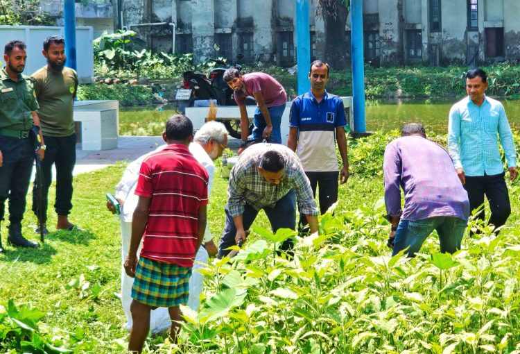 কাউখালীতে ডেঙ্গু ও মশাবাহিত রোগ প্রতিরোধে প্রশাসনের সমন্বিত অভিযান
