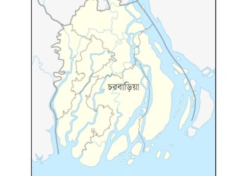 বরিশালের চরবাড়িয়ায় নেই ইউপি ভবন, জনগণের উন্নয়ন হবে কীভাবে?