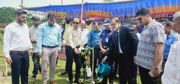 পটুয়াখালীতে সড়ক ও জনপথ বিভাগের উদ্যোগে বৃক্ষরোপণ কর্মসূচী শুরু