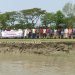 তালতলীতে নদী ভাঙ্গনরোধে তিন গ্রামের মানুষের মানববন্ধন