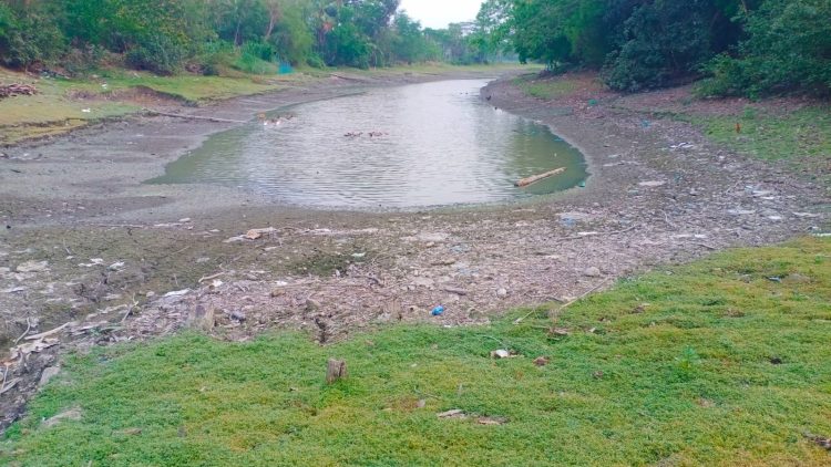 কলাপাড়ায় খালের লিজ দেওয়ায় সেচ সংকটের ঝুঁকিতে হাজার একর জমির ধানসহ সবজির আবাদ