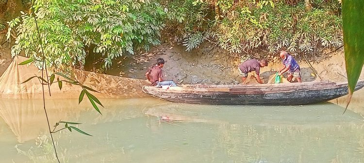প্রশাসনের চোখ ফাঁকি দিয়ে কাউখালীতে চরগড়া জালের মহোৎসব চলছে