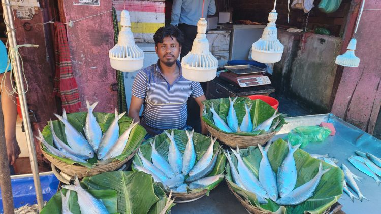 পহেলা বৈশাখ ঘিরে পটুয়াখালীতে ইলিশের বাজারে ‘আগুন’