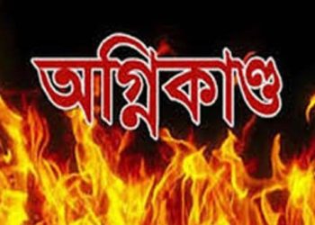 মির্জাগঞ্জে মশার কয়েলে অগ্নিকান্ড: আগুনে পুড়ে মৃত্যু ২টি গরুর মৃত্যু