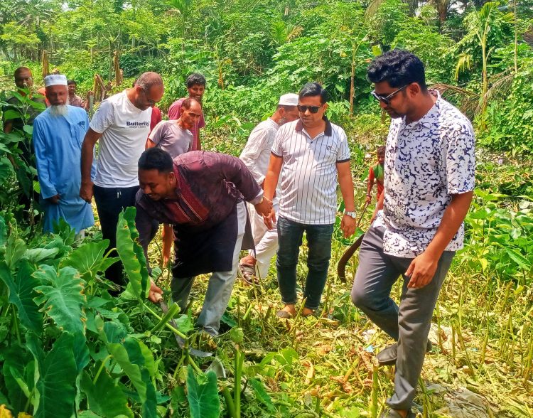 কাউখালীতে মশাবাহিত রোগ প্রতিরোধে সম্মিলিত পরিচ্ছন্নতা অভিযান