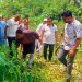 কাউখালীতে মশাবাহিত রোগ প্রতিরোধে সম্মিলিত পরিচ্ছন্নতা অভিযান