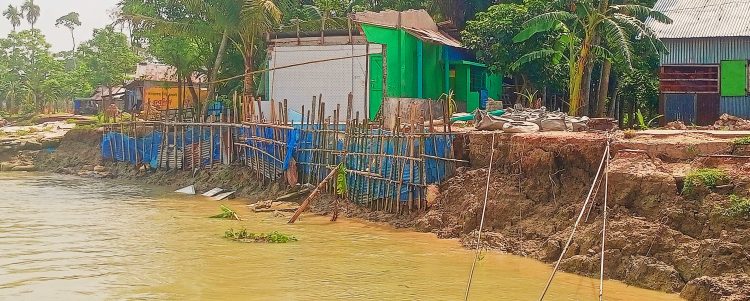 কাউখালীতে আমরাজুরী ফেরিঘাটে ভয়াবহ ভাঙন: জিও ব্যাগেও মিলছে না প্রতিকার