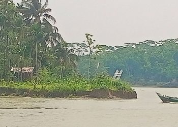 নদীভাঙনে বিলুপ্তির পথে কাউখালীর আশোয়া গ্রাম, স্থায়ী সমাধানের দাবি এলাকাবাসীর