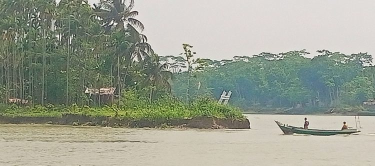 নদীভাঙনে বিলুপ্তির পথে কাউখালীর আশোয়া গ্রাম, স্থায়ী সমাধানের দাবি এলাকাবাসীর