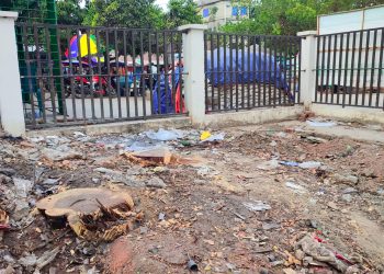 পাবনার ফরিদপুর পৌর শিশু পার্কের জায়গা বরাদ্দ ও গাছ কাটা নিয়ে সমালোচনা ঝড়