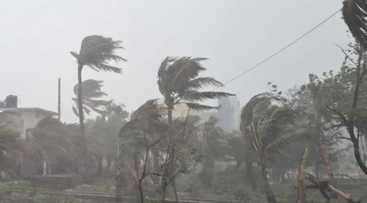 পটুয়াখালীসহ যেসব জেলায় দুপুরের মধ্যে ৬০ কিলোমিটার বেগে ঝড়ের শঙ্কা