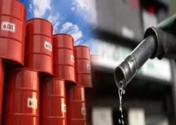 পেট্রোল-অকটেনে কতদিন চলবে, জানাল জ্বালানি বিভাগ