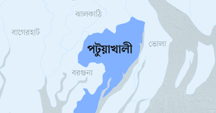 পটুয়াখালীতে বজ্রপাতে ৪ জন নিহত, অর্ধশতাধিক গরুর মৃত্যু