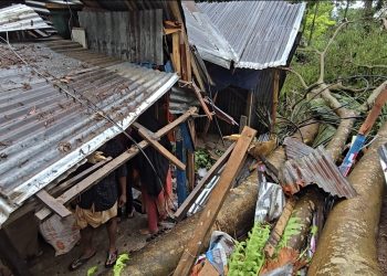 দুমকিতে কালবৈশাখীর তাণ্ডব: গাছ উপড়ে বিধ্বস্ত ৩ দোকান, ব্যাপক ক্ষয়ক্ষতি