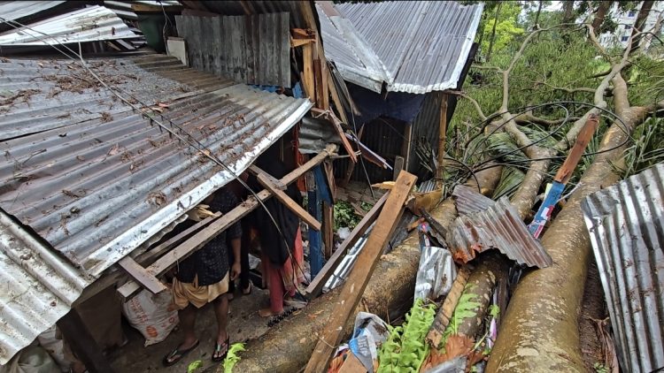 দুমকিতে কালবৈশাখীর তাণ্ডব: গাছ উপড়ে বিধ্বস্ত ৩ দোকান, ব্যাপক ক্ষয়ক্ষতি