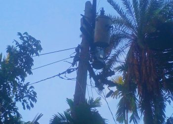 কাউখালীতে কালবৈশাখী ঝড়ে বিদ্যুতের ব্যাপক ক্ষয়ক্ষতি, তিন ইউনিয়নে বিদ্যুৎ বিচ্ছিন্ন